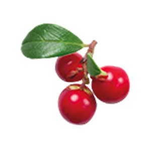 Cranberries