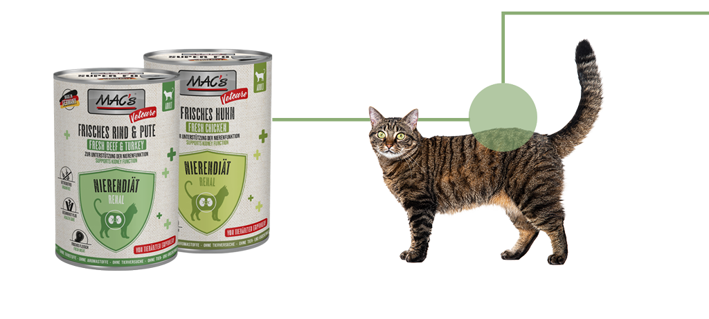 Niereiät cat