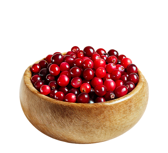 Cranberry