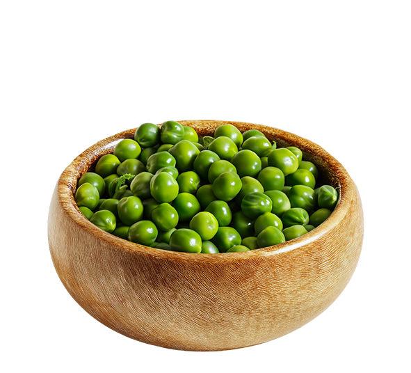 Erbse