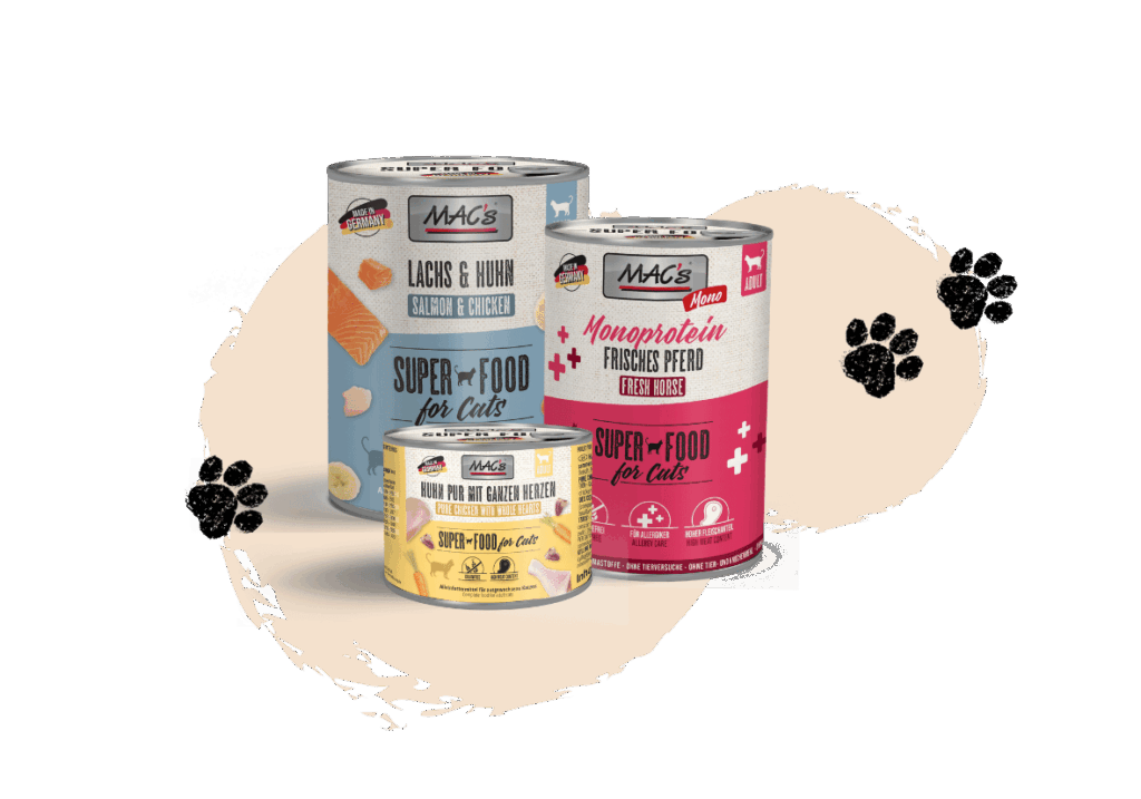 Katze Dose