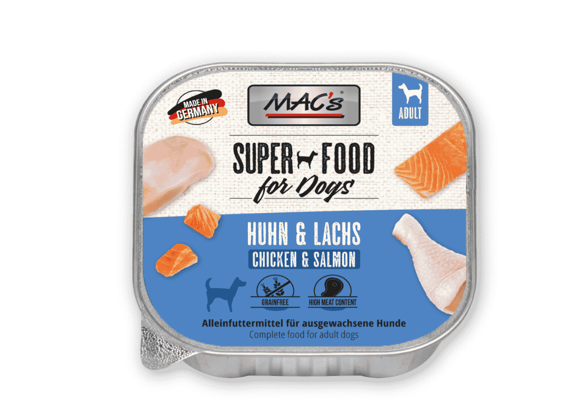 Hund Schale Huhn Lachs