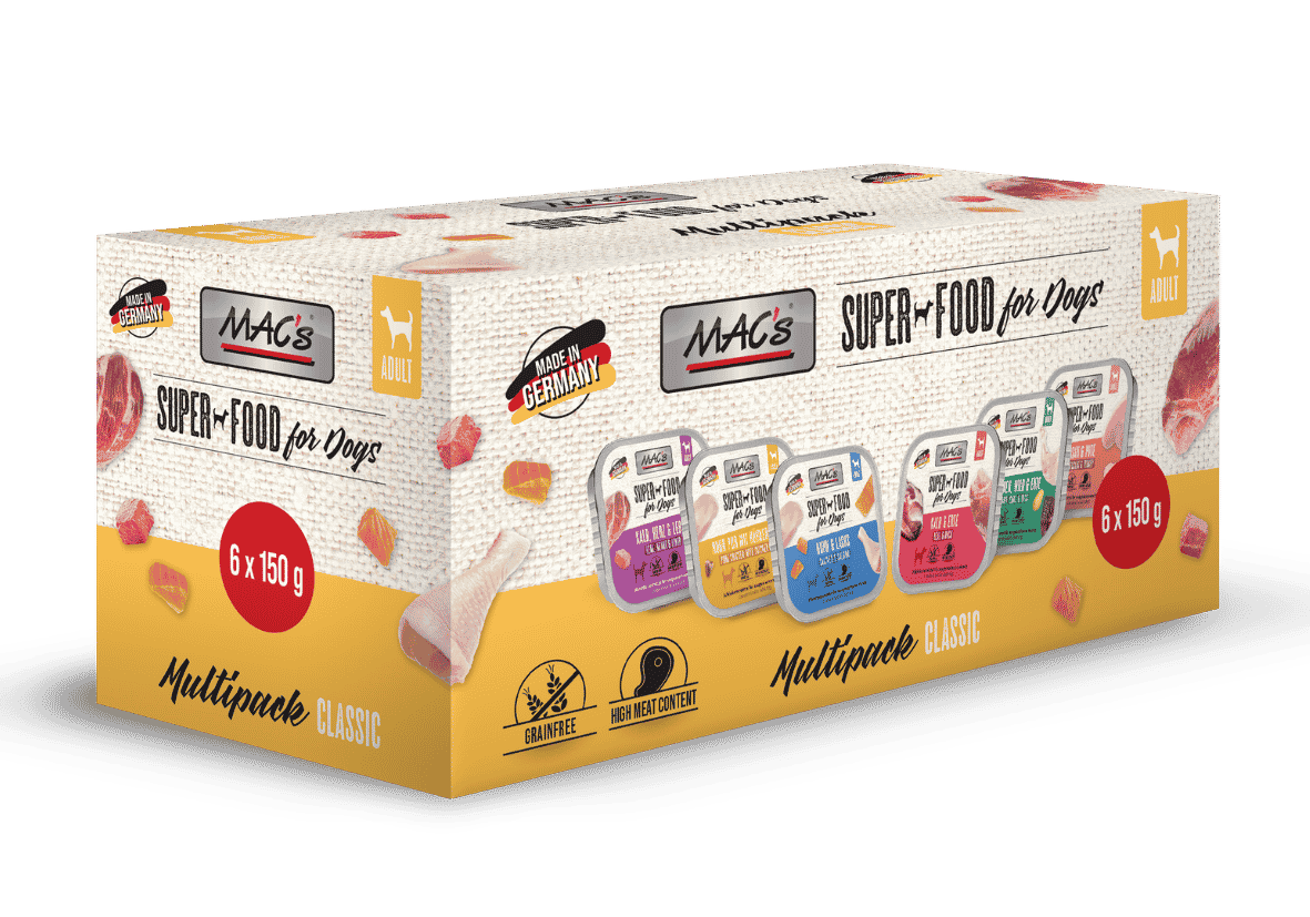 Hund Schale Multipack