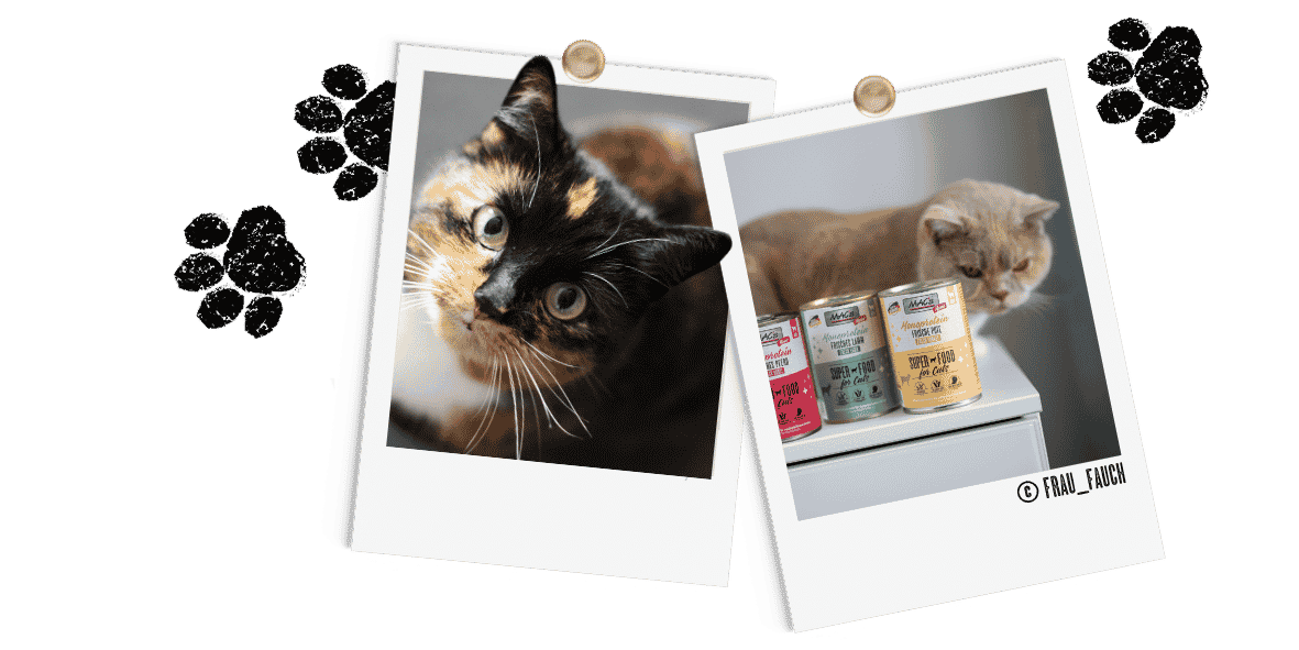 Polaroids Mono Dosen
