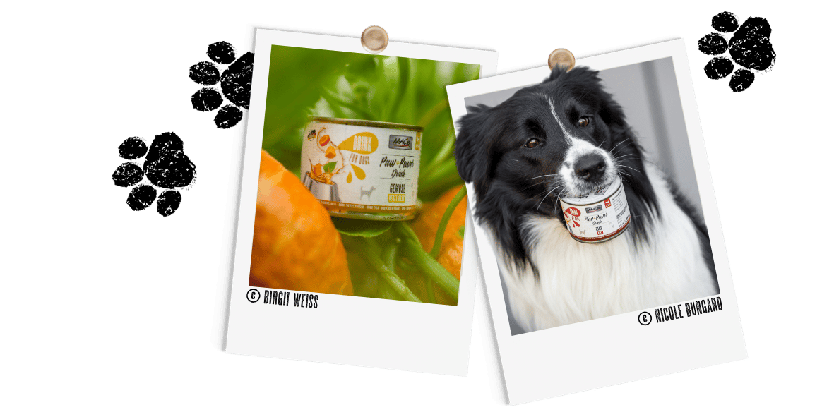 Polaroids_Hund_Drink