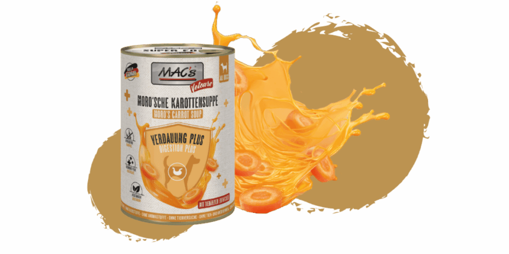 Zupa marchewkowa Moro