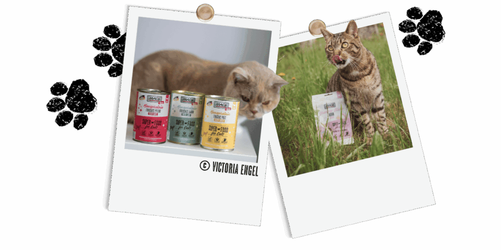 Polaroid Mono Katze Dosen + Snack