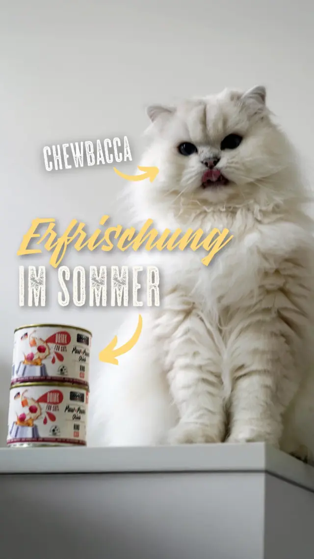 Băuturile noastre de putere Paw sunt perfecte pentru zilele călduroase de vară - Kenai, Kaba și Chewbacca sunt fani 😻 Cum vă răciți laba de catifea în zilele călduroase? 🥵macSPETFOOD #PAWPOWER #SMMERTIME #KATZIEBE