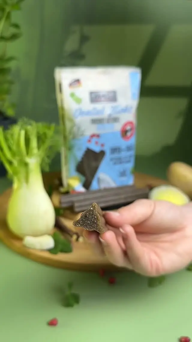 În ziua sărutării vă prezentăm rețeta secretă pentru sărutări proaspete 💋🐶🤭macSpetfood #Frischeküsschen #dentalsticks #Weltkusstag #kuss #knutschen